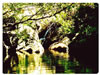 El Charco de Los Morales